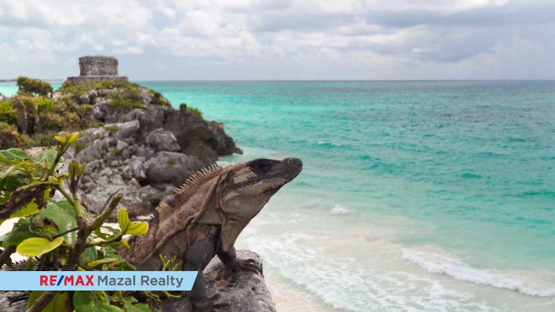 Cinco razones para invertir en Tulum