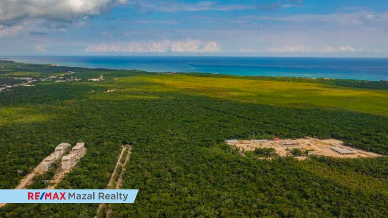 Tulum y el refugio del jaguar