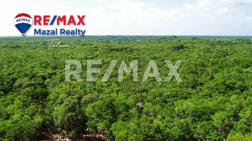 Land for sale Region 08 close to Hotel zone